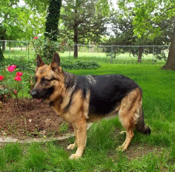 Zena Von Der Amhaus
