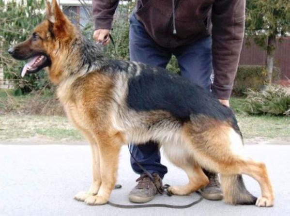 SG 3 Gora von Weber-Haus