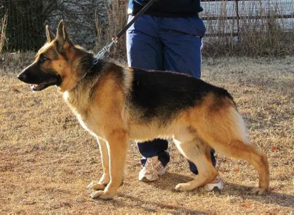 Uwe von Kleiner Feuerball