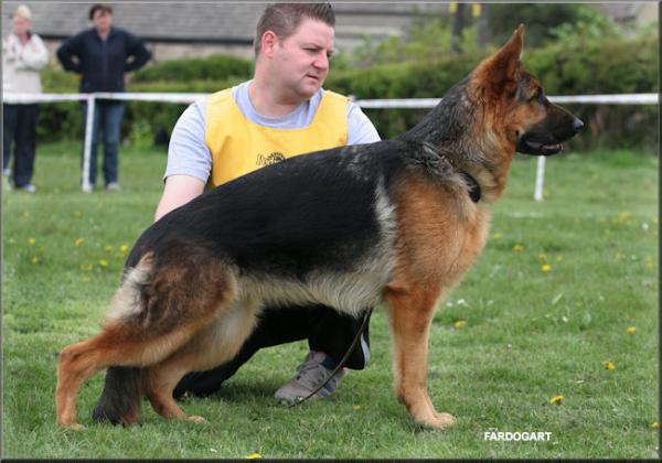 V1 DUTCH SIEGER SHOW Samstag Lissie