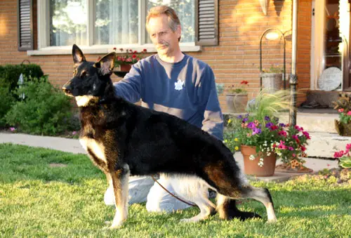 Timberline's Sunbird