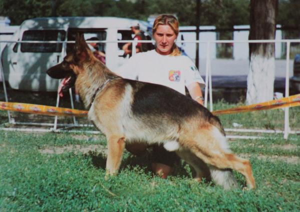 Sepp vom Haus Wiesel