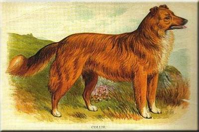 Peggie II