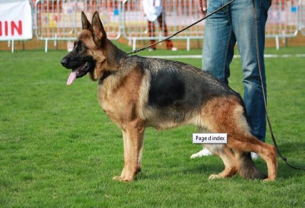 SG30 NUREMBERG Emka du Pavillon Chinois