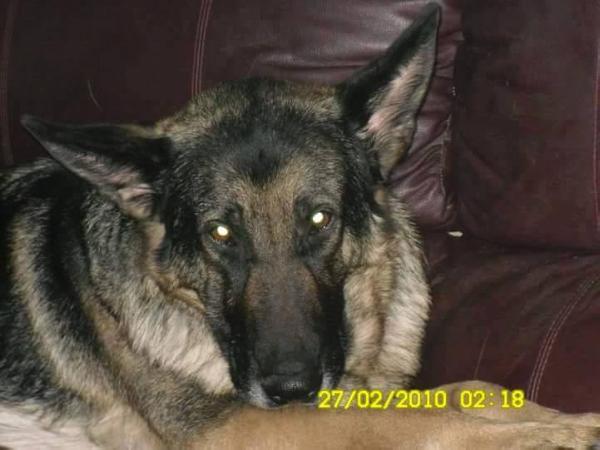 Thomas's Queen of the Gates