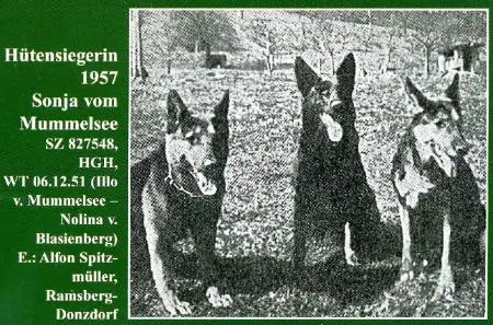 HtS Süd 1957 & 1958 Sonja vom Mummelsee
