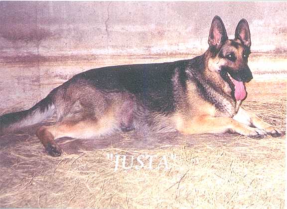 Samuri's Just a Superstition