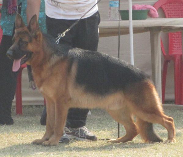 Full vom Tiroler Unterland