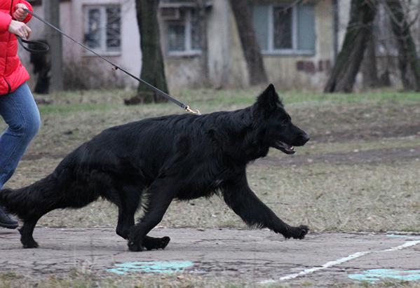 Ingrid s Azovskogo Doma