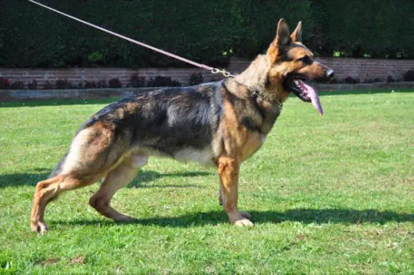 Blitz von der Eichendorfschule