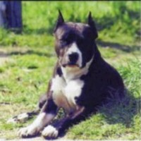 CH ENERGY du parc de combreux