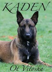 Kaden ot Vitosha
