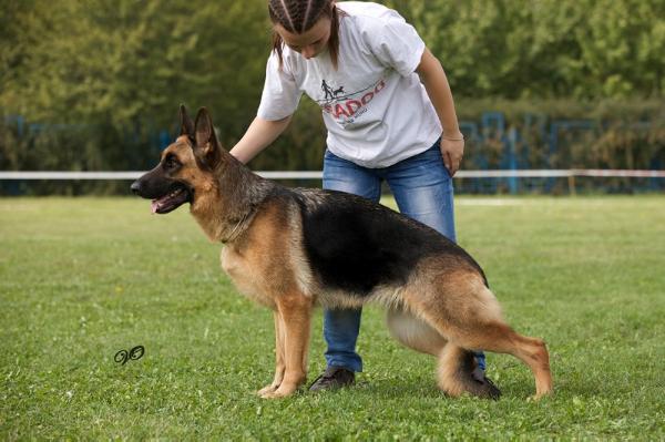 Taeldorf Dakota