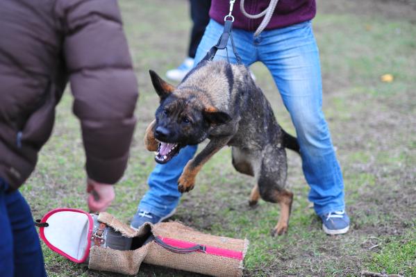 Briska von der Wiesenperle