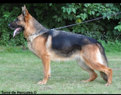 V 1 Dina vom stillen Rain