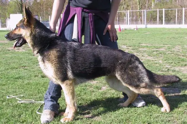 Udoline du Val des Hurles Vent