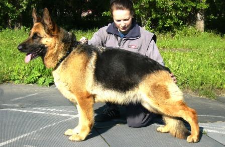 V (RU), CH.RU Ungri Sarbrukken