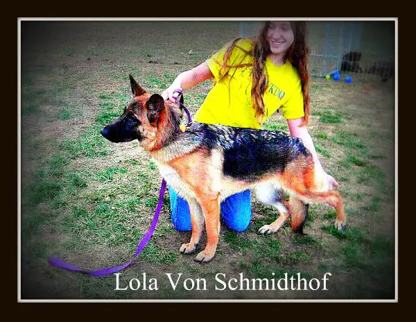 Lola von Schmidthof
