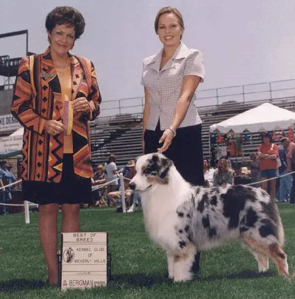 Summertime Shades of Blue