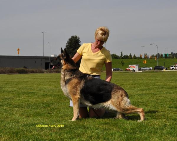 Clayfield Murphy Mack