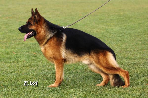 VA (CZ) Richi Riwal Hof