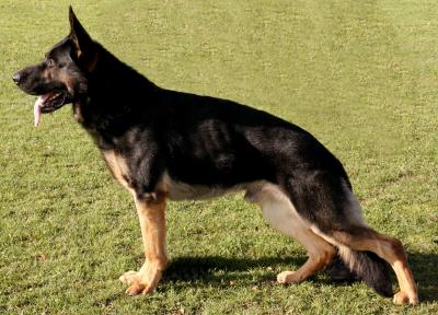 V Xoro vom Anrachtal