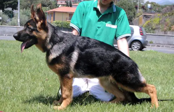 Belen degli Achei (2011)