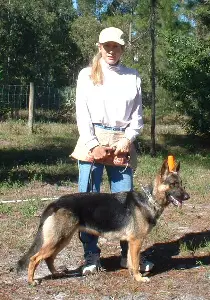 Dascha Vom Haus Pferdmann