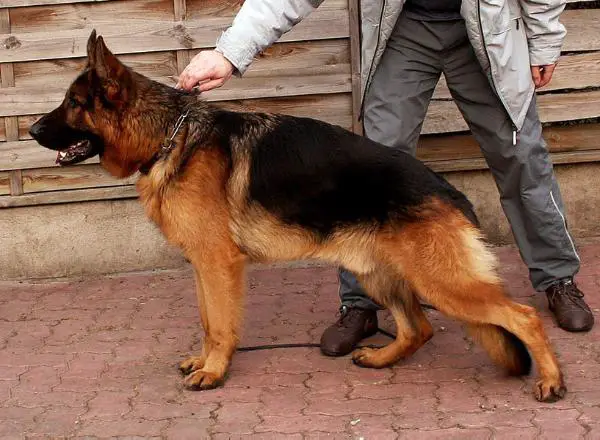 Fabian von der Grafschaft Mark