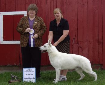 UKC GRAND CH Royal Ready Set Go