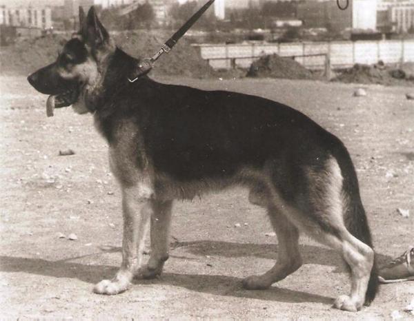 Gero v. Waynshtadt