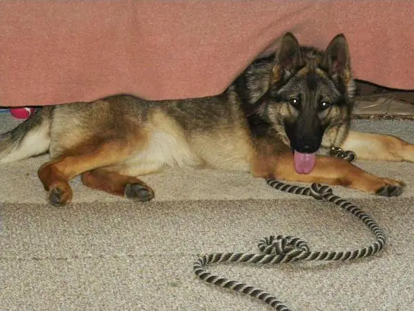 Plei Breng von Haus aus Bade