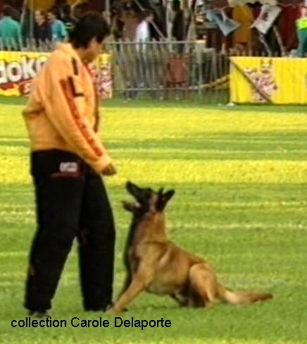 Hell des Deux Pottois