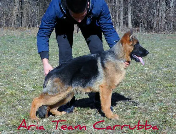 Aria Team Carrubba