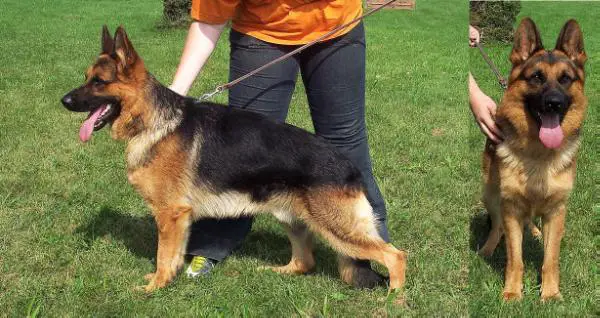 Yello zur Medbacher Mühle