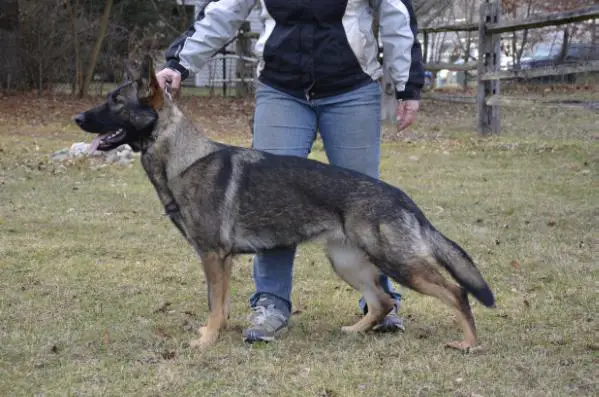 SG Ena von der Rennbahn