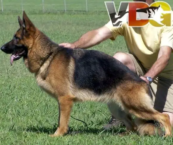 Selección I Pilar von del Greck