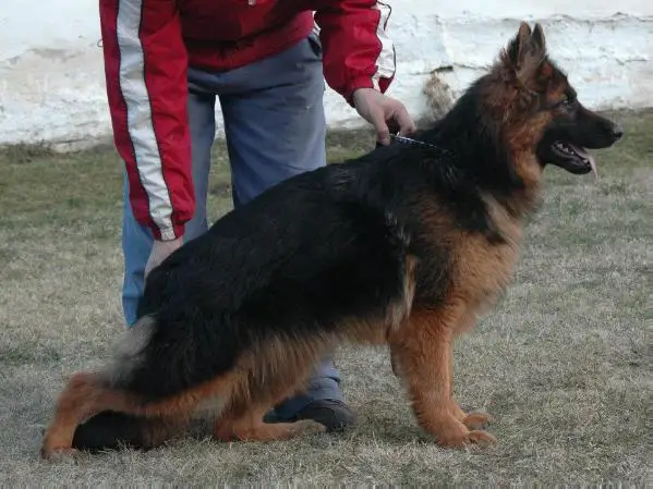 Berna von Team Panoniansee