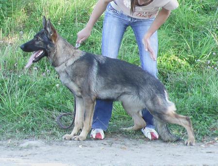 SG Miky ze Stribrneho kamene