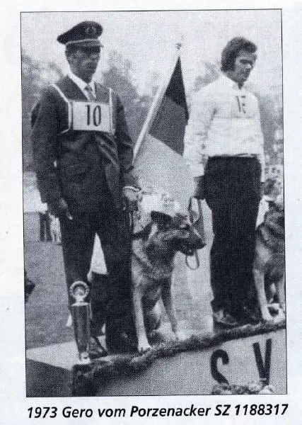 BSP Sieger 1973 Gero vom Porzenacker