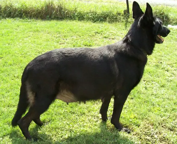 Victoria VD Brendahaus