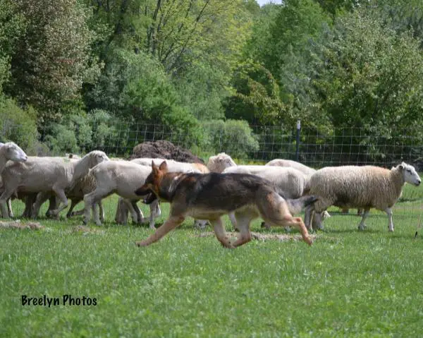 Jutta Hipp vom Ryanhaus