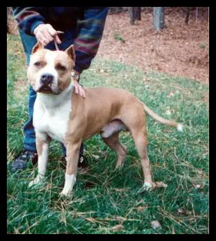 Noble Breakheart Pass