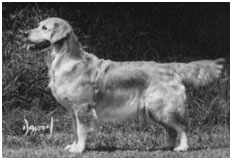 CH (ENG) JW Kerrien C'Est La Vie