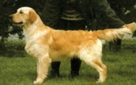 Kerrien Churchill of Sansue KCJW