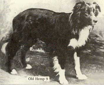 Old Hemp (1893) [S.E. Batty]