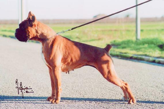 Londra della Val di Senio