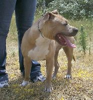 Ground Zero DjBabyGirl