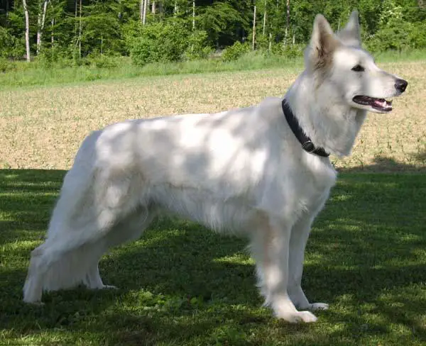 Costa-Rica vom Stainzer Schilcherland