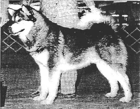 CH Poker Flat's Cosmic Ray